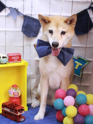 20230427ライトくん